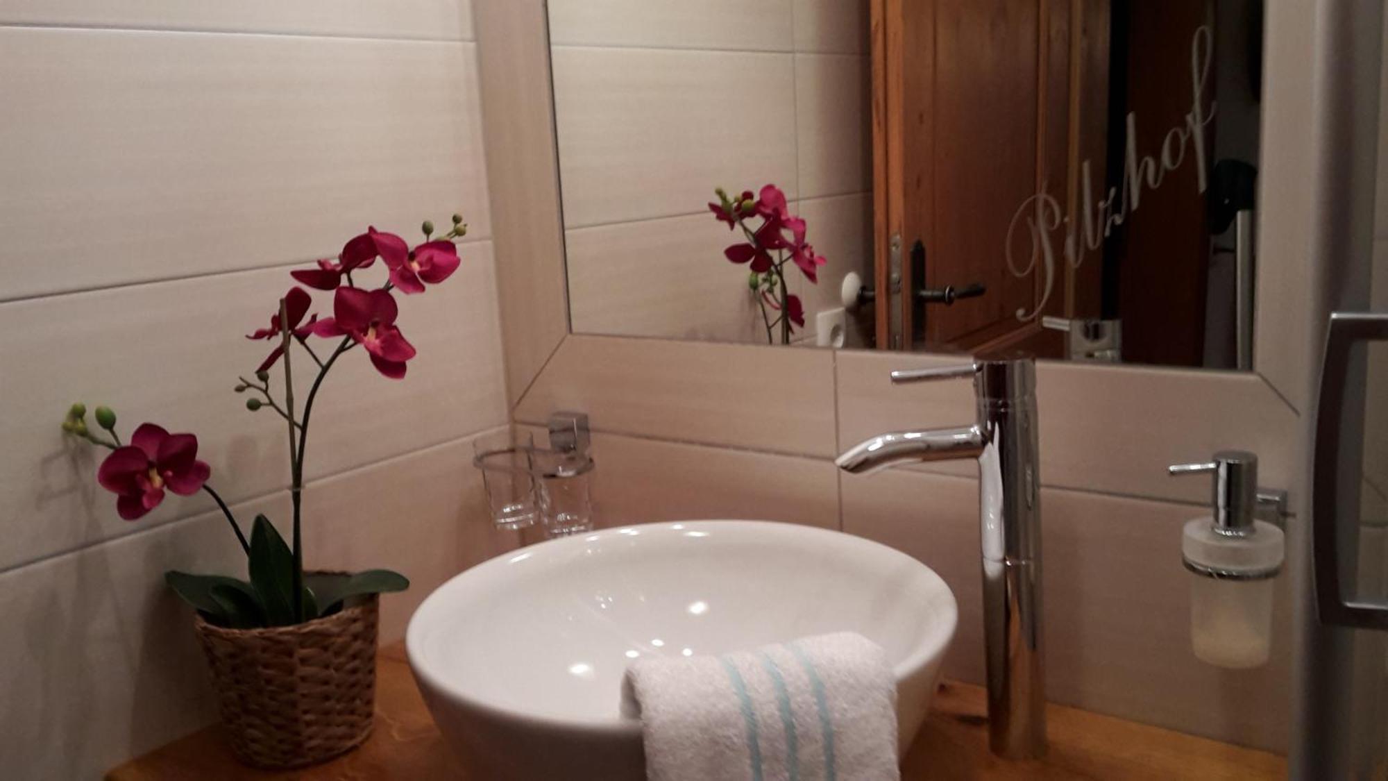 Appartement Pilzhof Filzmoos Bagian luar foto